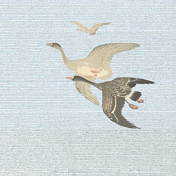 Artwork thumbnail, Nothing to match the flight of wild birds flying by anni103