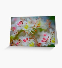 Poetry of the spring. by Brown Sugar. Boulevard View of Broken Dreams . Yeah!!! 1992 views. Favs (5). Greeting Card