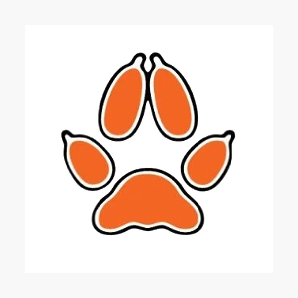 "Palmetto State Foxes Logo" Photographic Print by kaleidobear | Redbubble