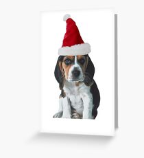 Beagle Puppy Santa Claus Merry Christmas Greeting Card