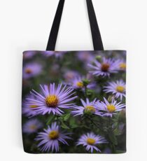 Autumn Asters Tote Bag