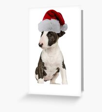 Bull Terrier Puppy Santa Claus Merry Christmas Greeting Card