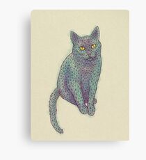 PolyCat Canvas Print