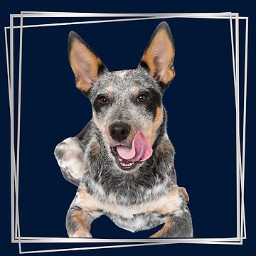 Australian Cattle Dog Blue Heeler Puppy Mounted Print for Sale by Elarex