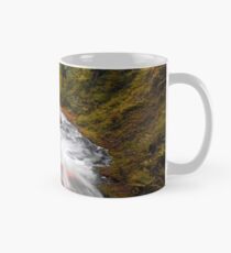 Glenariff Forest Park / County Antrim / Northern Ireland Classic Mug