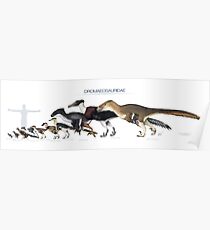 Dromaeosaurid Dinosaurs Size Poster