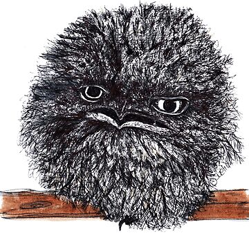 Artwork thumbnail, Rocky the Tawny Frogmouth  by Wildcard-Sue