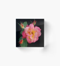 Rose Acrylic Block