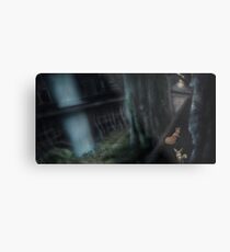 PMD2 - Hidden Land - Old Ruins temple Metal Print