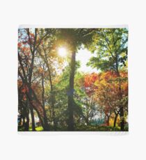 Fall landscape Scarf