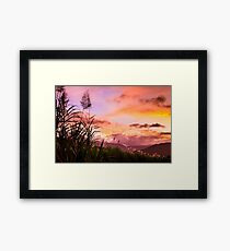 Sugar Cane in Far North Queensland Framed Print