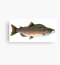 Salmon Artwork Canvas Print