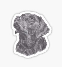 Classic Labrador Retriever Dog Profile Drawing Sticker