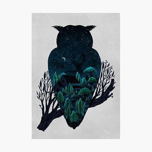 Owlscape Photographic Print