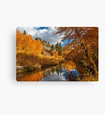 Susan River Reflections Canvas Print