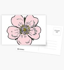 pink wild rose female girl woman flower cute beautiful hippie retro vintage t shrits Postcards
