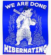 Chicago Cubs World Series Champs Bear Hibernating Poster
