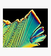 Citric Flame Photographic Print