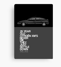 Citroen XM 25th Anniversary Poster Canvas Print
