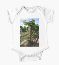 Vineyard #5 One Piece - Short Sleeve