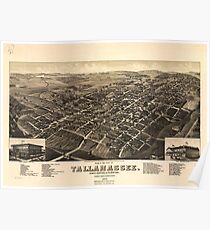 Vintage Pictorial Map of Tallahassee FL (1885) Poster