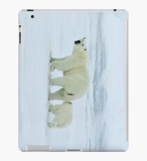 Polar Bear and Cub iPad-Hülle & Klebefolie