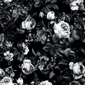 Artwork thumbnail, Roses Black and White by rizapeker
