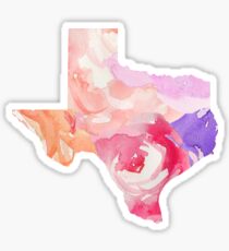 Texas Sticker