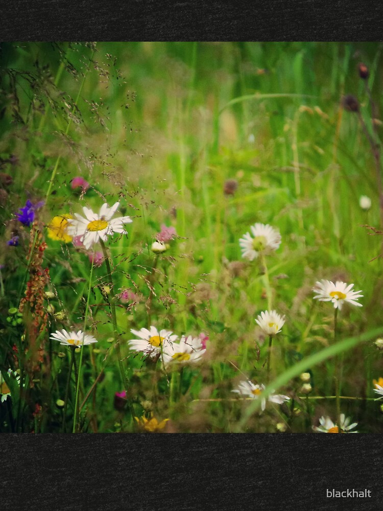 Floral nature by blackhalt