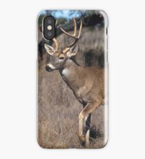 White Tail Deer iPhone Case/Skin