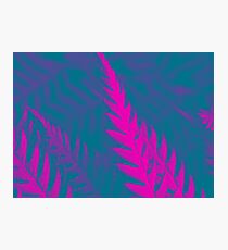 Nature Pattern # 2 - Fern (Blue Pink) Photographic Print