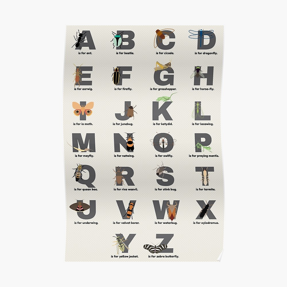 Insect Alphabet Poster By Babybigfoot Redbubble