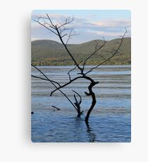 Tree Scene Canvas Print