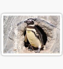 Penguin Sticker