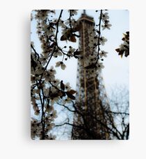 Springtime in Paris Canvas Print
