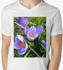The Crocus Men's V-Neck T-Shirt