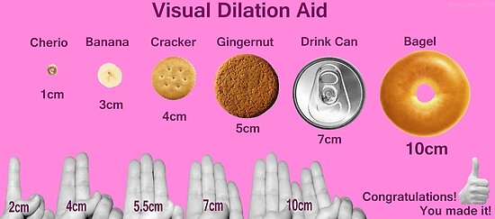 labour-and-delivery-dilation-visual-poster-by-anton-jones-redbubble