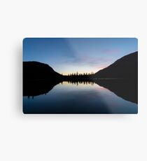 Forget-Me-Not Pond Metal Print