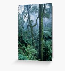 Winter Morning on Mount Dandenong Greeting Card