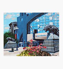 'PANTHERS STADIUM' Photographic Print