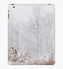 Winter storm on the mountain iPad Case/Skin