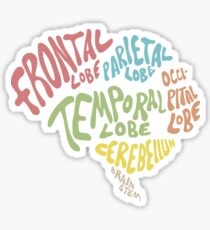 Parts of the human brain Sticker