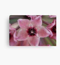 Macro Flower Canvas Print