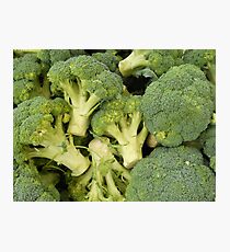 Broccoli Photographic Print