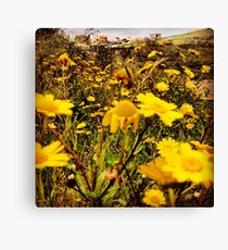 Yellow, yellow Canvas Print
