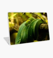 Green Tree Python Laptop Skin