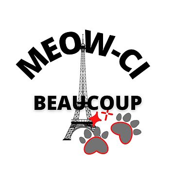 French Thank You So Much Merci Beaucoup Classic Round Sticker