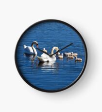 Schwan Familie Uhr