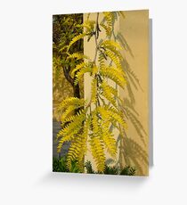 Robinia 'Frisia' Greeting Card