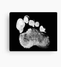 Paw Canvas Print